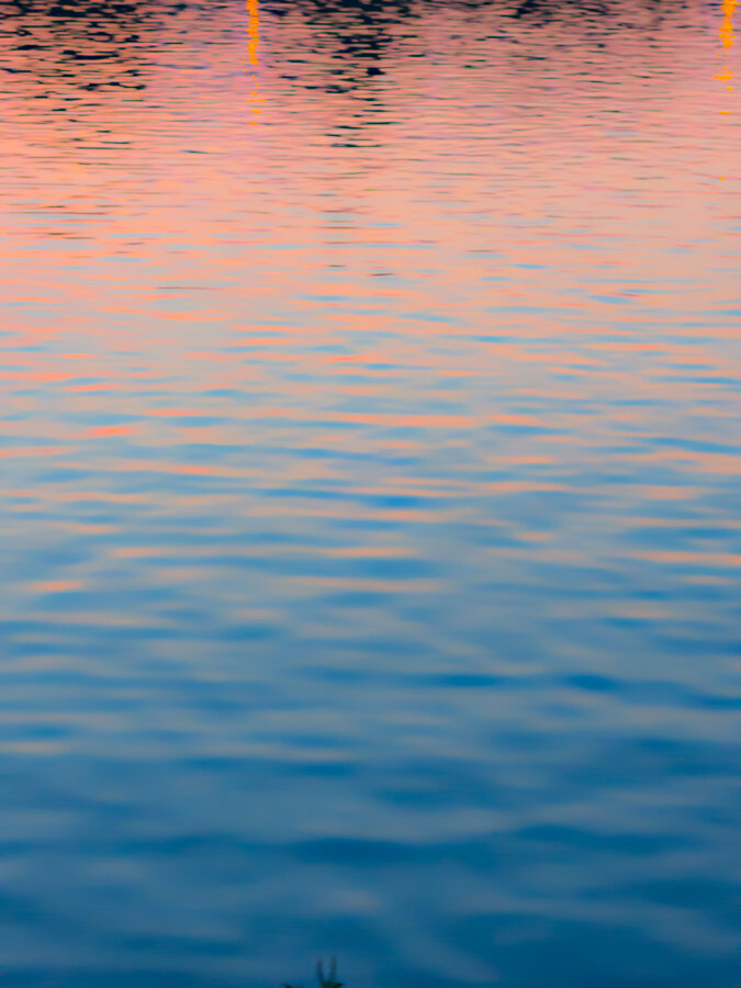DSCN4558+.jpg