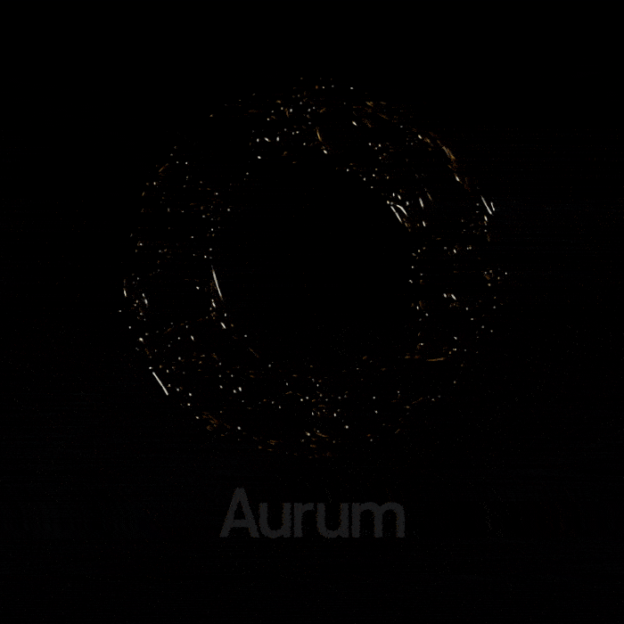 3D Modelling & Animation for Loop Earplugs